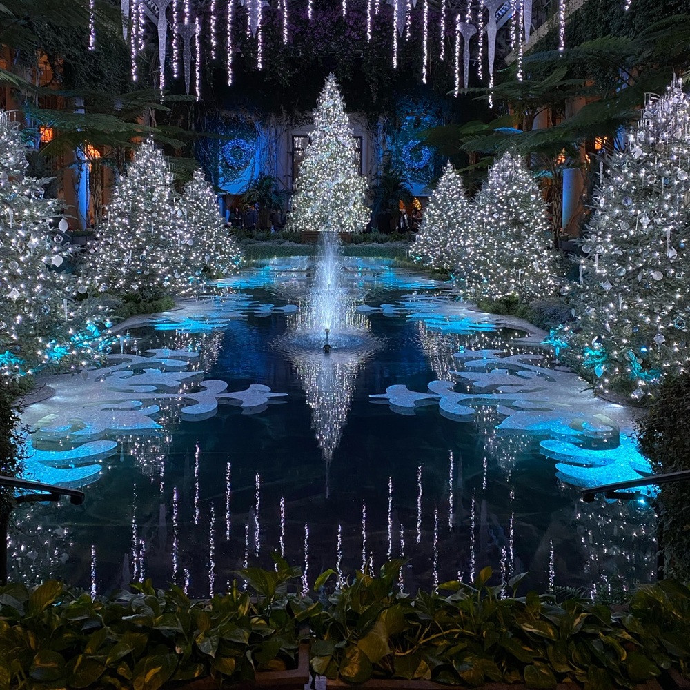 Meet your Posher, Connie